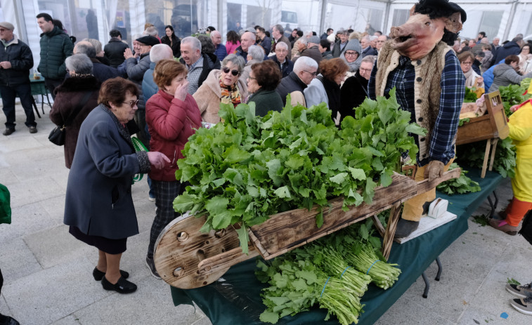 A Feira do Grelo das Pontes en imaxes