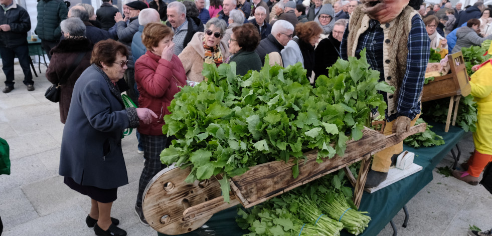 A Feira do Grelo das Pontes en imaxes