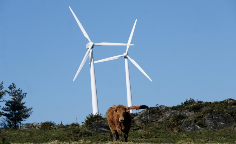 La repotenciación de cinco parques eólicos en la zona reducirá a 27 los 212 aerogeneradores actuales