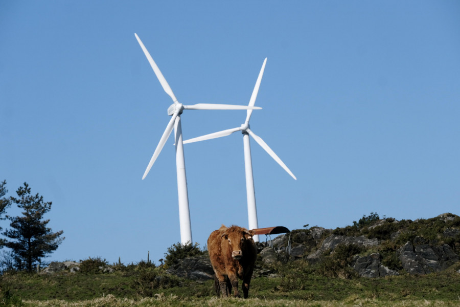 La repotenciación de cinco parques eólicos en la zona reducirá a 27 los 212 aerogeneradores actuales