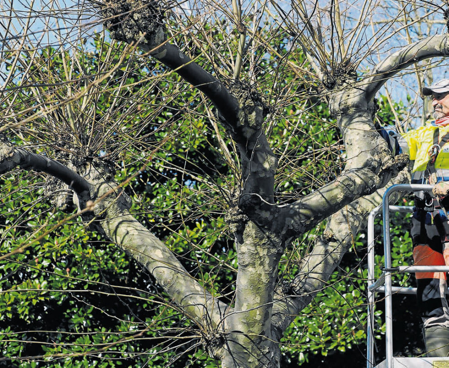 El fin de un periplo en los jardines