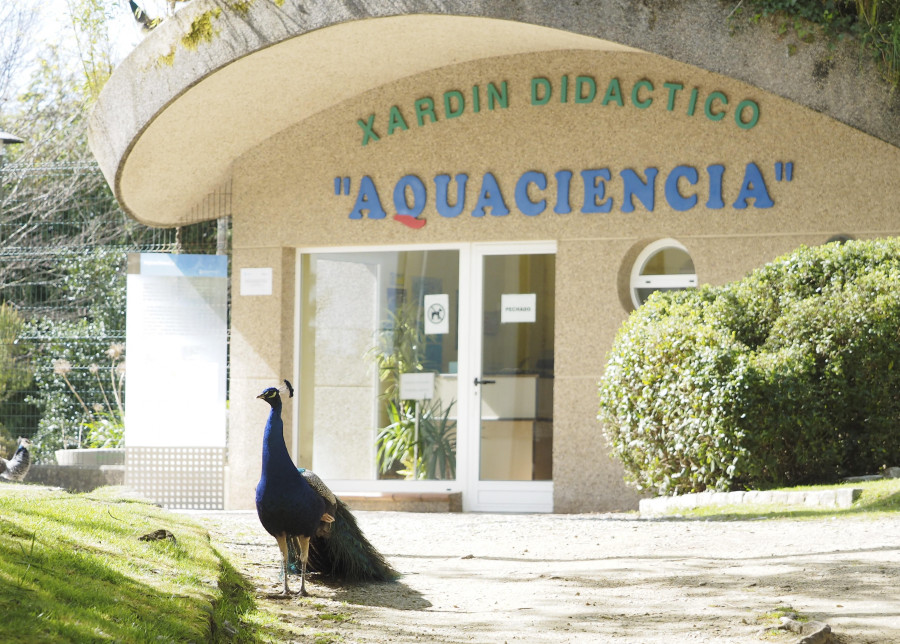 El Concello confía en que la recuperación de Aquaciencia esté lista para el verano