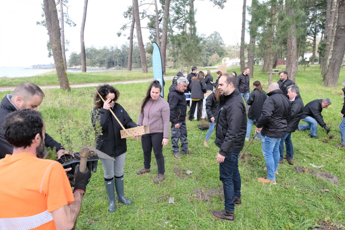 Reforestacion pinar Cabanas Daniel Alexandre