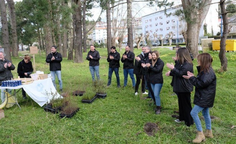 El grupo Albia y Bosquia reforestan media hectárea en el pinar de la playa de Cabanas