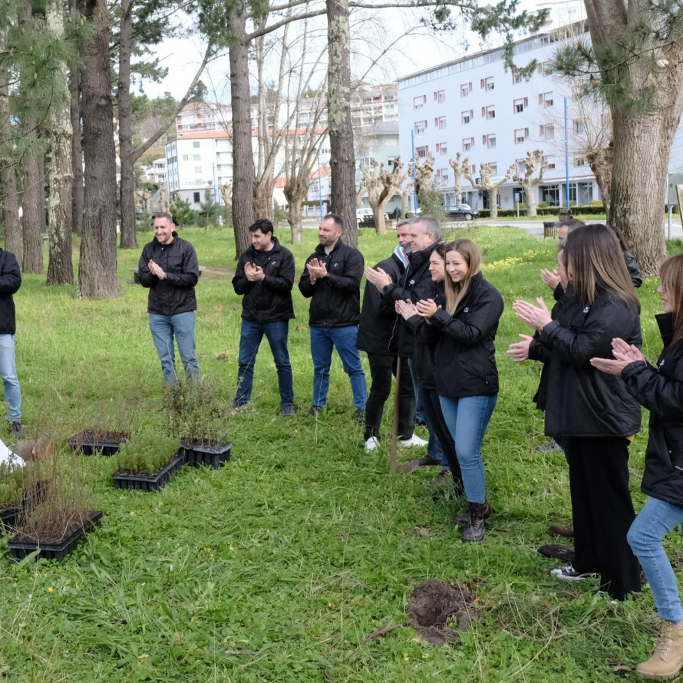 El grupo Albia y Bosquia reforestan media hectárea en el pinar de la playa de Cabanas