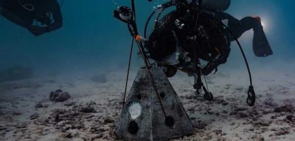 Desde la Mar | Cenizas y santuarios en el mar