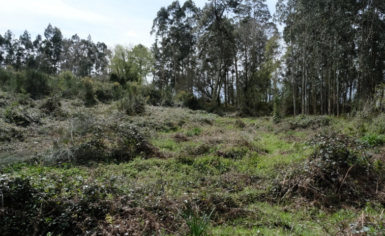 El plan de Pontedeume y Miño para recuperar su joya enterrada