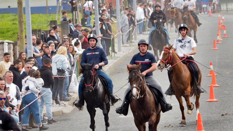 La XXXI Feira do Cabalo reunirá a cientos de asistentes en A Barqueira